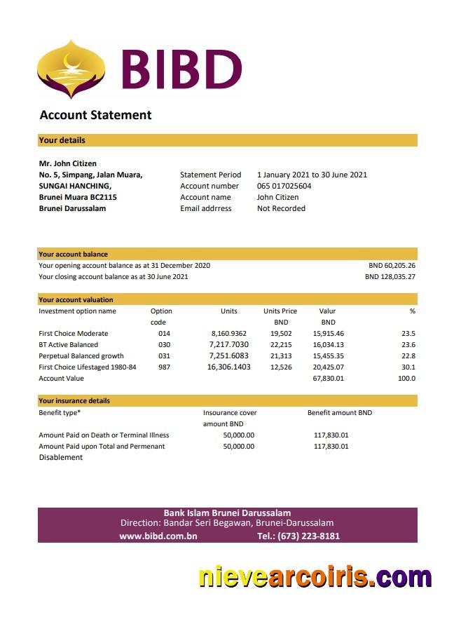 Brunei Bank Islam Brunei Darussalam bank statement easy to fill in Excel and PDF format (AutoSum)